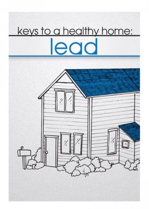 Keys to a Healthy Home: Lead