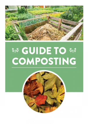 Guide to Composting