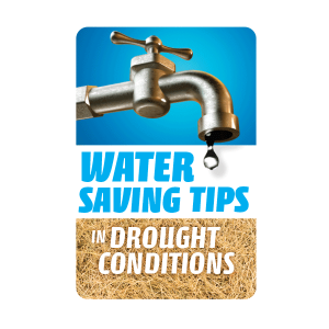 Water Saving Tips in Drought Conditions