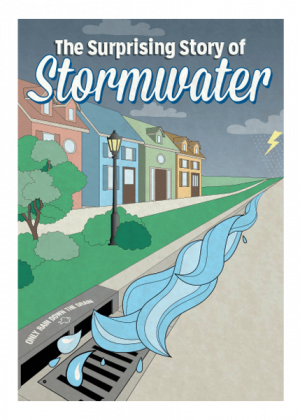 The Surprising Story of Stormwater