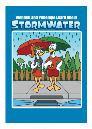 Wendell and Penelope Learn About Stormwater