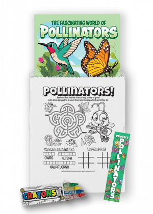 Pollinators Full-Color Activity Book Kit - Image 1