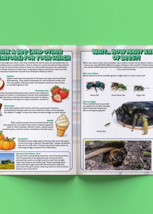 The Fascinating World Of Pollinators - Image 2