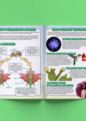 The Fascinating World Of Pollinators - Image 3